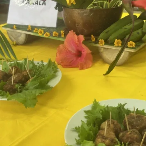 concours cuisine 34