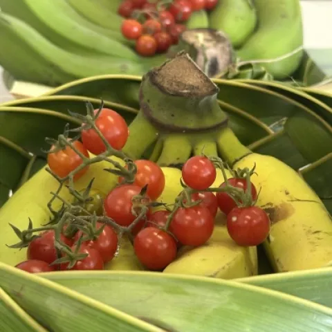 concours cuisine 39